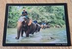 Olifanten in Noord-Thailand, Verzenden, Gelopen