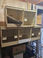 Broedkooien voor kanaries, Dieren en Toebehoren, Ophalen, Gebruikt, Kunststof, Vogelkooi