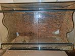Terrarium, Dieren en Toebehoren, Reptielen en Amfibieën | Toebehoren, Ophalen, Zo goed als nieuw, Terrarium of Paludarium