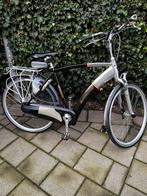Batavus padova easy, Batavus, Ophalen of Verzenden, Zo goed als nieuw, 55 tot 59 cm