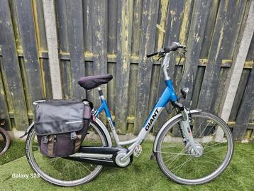 Te koop  elektrische  giant twist  met dubbel  acc's  beschikbaar voor biedingen