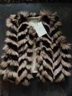 Nieuwe Nukus Gilet Bont Maat S/M, Kleding | Dames, Ophalen of Verzenden, Nieuw, Maat 36 (S), Bruin