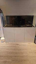 Compleet aquarium te koop, Ophalen, Zo goed als nieuw, Leeg aquarium