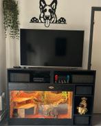 Osb terrarium RepHouSZ. Ook maatwerk, Dieren en Toebehoren, Reptielen en Amfibieën | Toebehoren, Ophalen, Nieuw, Terrarium of Paludarium