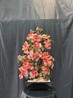 Glas planten, Ophalen of Verzenden, Zo goed als nieuw