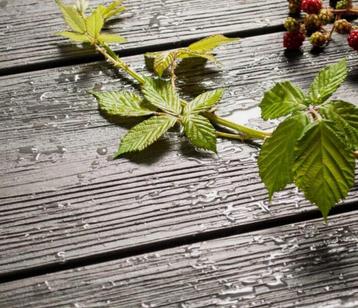 BPC VLONDERPLANKEN EBONY beschikbaar voor biedingen