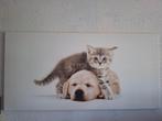 Canvas Schilderij Poes en Hond, Ophalen, Minder dan 50 cm, Minder dan 50 cm, Print