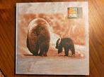 35!!! Years Bear Family Records (boek op LP formaat) 2010, Ophalen of Verzenden, Zo goed als nieuw, Algemeen