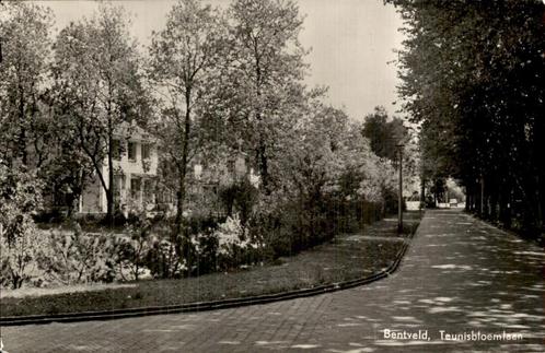 Bentveld - Teunisbloemlaan, Verzamelen, Ansichtkaarten | Nederland, Gelopen, Noord-Holland, 1940 tot 1960, Ophalen of Verzenden