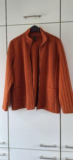 Signature Blazer, Kleding | Dames, Grote Maten, Oranje, Ophalen of Verzenden, Zo goed als nieuw, Signature