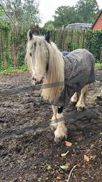 Lieve tinker merie met hengst veulen, Dieren en Toebehoren, Pony's, Meerdere dieren, A pony (tot 1.17m), 3 tot 6 jaar