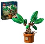 LEGO Harry Potter 76433 Mandragora 579 delig