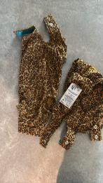 Katten romper Medical Pet Shirt maat 3XS, Dieren en Toebehoren, Ophalen, Zo goed als nieuw