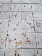 Tuintegels 40x40, dikte 4 cm, Tuin en Terras, Tegels en Klinkers, Ophalen, Beton, Terrastegels