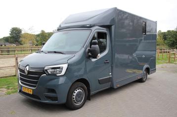 Renault Master T35 150Pk Paardenvrachtwagen * 2-paards * beschikbaar voor biedingen