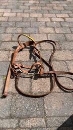 Pony leren hoofdstel, Ophalen of Verzenden