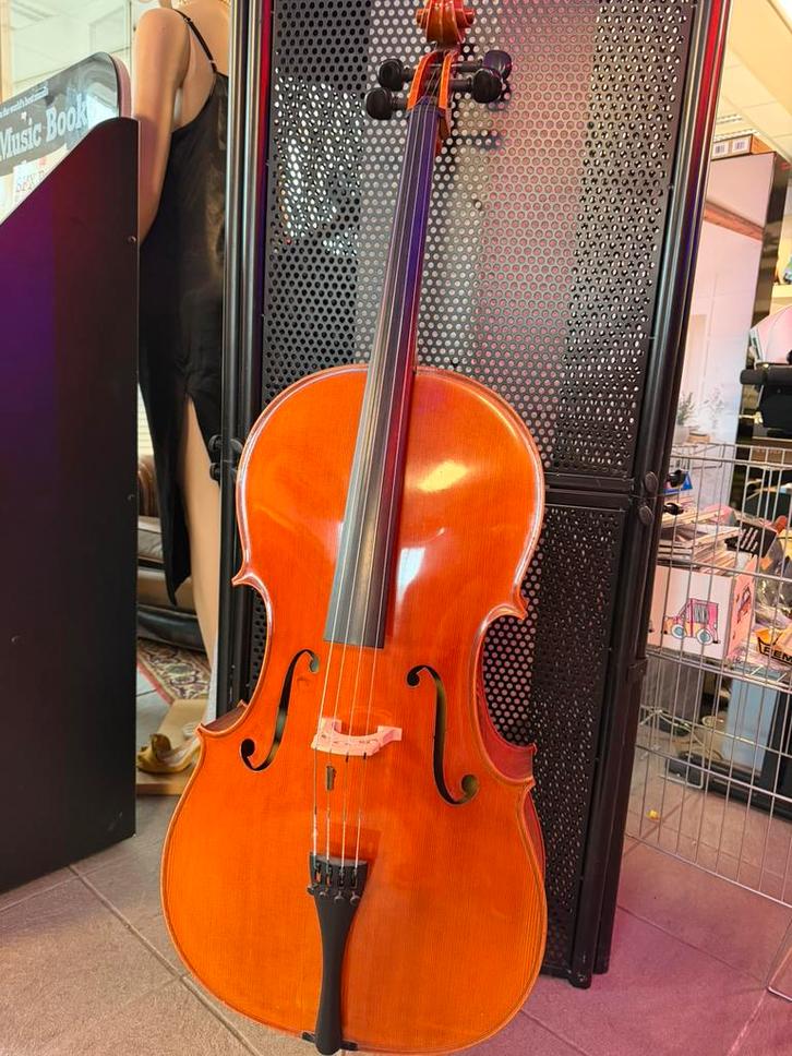 Cello Rudolf Schuster (1994) + R. Paesold strijkstok, Muziek en Instrumenten, Strijkinstrumenten | Cello's, Ophalen