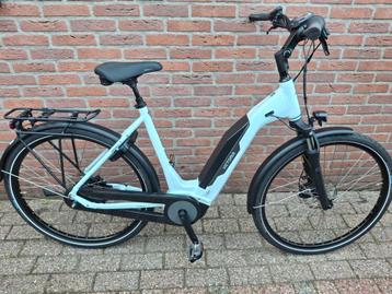 Victoria Tresalo  beschikbaar voor biedingen