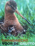 Grutto kievit Grondrecht voor de grutto Hettema predatie, Ophalen of Verzenden, Zo goed als nieuw, Halbe Hettema