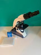 BMS Eduled microscoop op accu, Ophalen of Verzenden, Zo goed als nieuw, Biologische microscoop