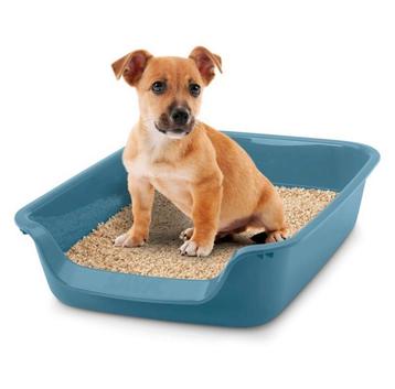 2 stuks Honden en kattentoilet L 56 x B 39 x H 13 cm NIEUW  beschikbaar voor biedingen