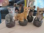 5 Leuke Beeldjes - Katten en Honden, Ophalen of Verzenden