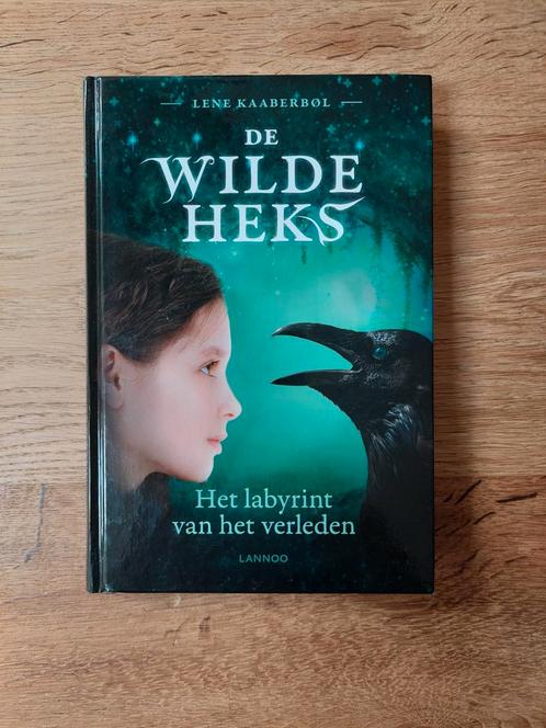 Lene Kaaberbøl - Het labyrint van het verleden, Boeken, Kinderboeken | Jeugd | onder 10 jaar, Zo goed als nieuw, Ophalen of Verzenden