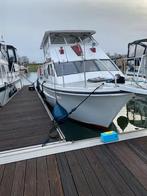 Cytra 38 Ambassador met ligplaats 2026, Watersport en Boten, Gebruikt, Diesel, Ophalen of Verzenden, 9 tot 12 meter