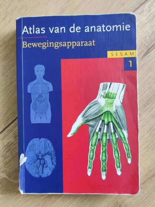 Atlas van de anatomie - bewegingsapparaat (Werner Platzer), Boeken, Studieboeken en Cursussen, Gelezen, HBO, Beta, Ophalen of Verzenden