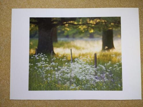 Poster van landschap met weide,bloemen en bomen, Verzamelen, Posters, Zo goed als nieuw, A1 t/m A3, Rechthoekig Liggend, Ophalen of Verzenden