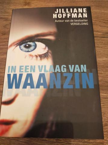 In een vlaag van waanzin - Jillianne Hoffman beschikbaar voor biedingen
