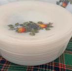 Arcopal fruit dinerborden 13 stuks, Ophalen of Verzenden