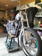 Sportster hardtail project, Motoren, Onderdelen | Harley-Davidson, Ophalen, Nieuw