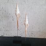 Prachtige schelpen set op voet hotel chique, Nieuw, Ophalen of Verzenden, X, X