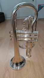 Hele nette Roy Benson Cornet, Ophalen of Verzenden, Gebruikt, Overige typen