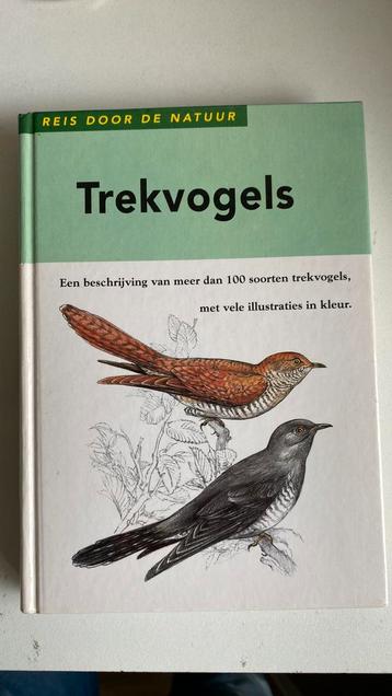 Trekvogels 100 soorten met illustraties boek 