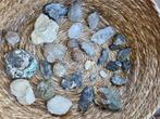 Verzameling fossielen en mineralen, Verzamelen, Mineralen en Fossielen, Ophalen of Verzenden