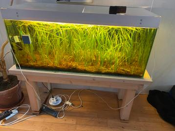 Aquarium inclusief toebehoren beschikbaar voor biedingen