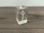 Darter in glas, Ophalen of Verzenden