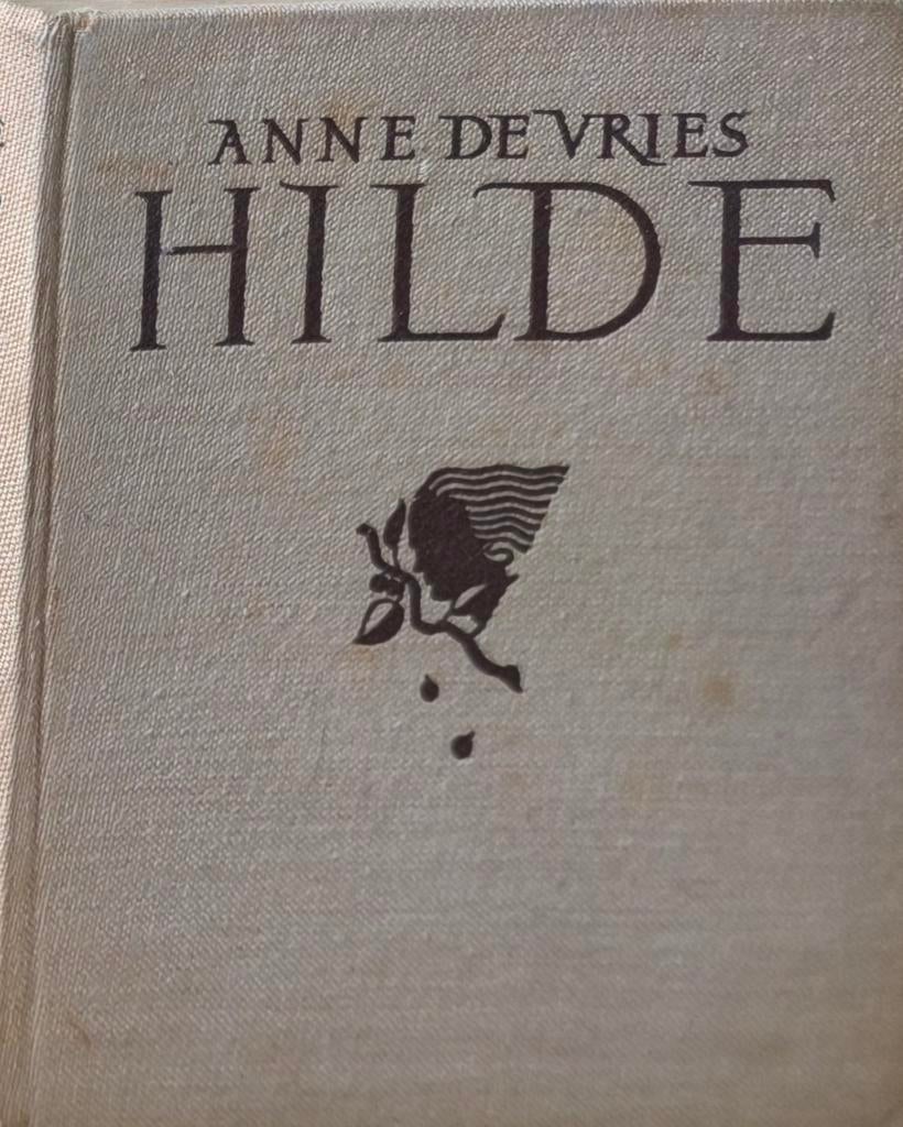 Hilde - Anne de Vries, Drentse streekroman, Ophalen of Verzenden, Gelezen, Anne de Vries, Nederland