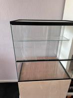 Hamster terrarium 40x60x60 cm Queenies, Ophalen, Gebruikt, Terrarium of Paludarium