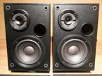 Bose Interaudio 2000XL 2-weg bass-reflex speakers, Gebruikt, Ophalen of Verzenden, 60 tot 120 watt, Bose