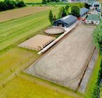 Stalling aangeboden Naarden, Dieren en Toebehoren, Stalling en Weidegang, Stalling
