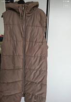 Bodywarmer hm, Kleding | Dames, Bodywarmers, Ophalen of Verzenden, Zo goed als nieuw, Maat 46/48 (XL) of groter, Bruin
