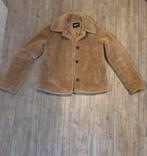 Teddy winterjas, Kleding | Dames, Jassen | Winter, ONLY, Ophalen of Verzenden, Zo goed als nieuw, Maat 38/40 (M)