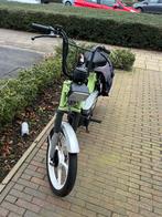 Tomos A3 Snor ruilen tegen Rieju Bye Bike Brom kenteken., Ophalen, Gebruikt, Maximaal 25 km/u, Overige modellen