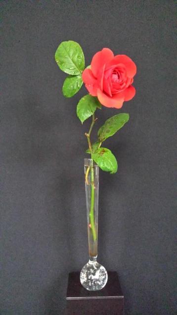 Vintage SPIJKERBOL Vaasje ~ SOLIFLEUR ~ Helder GLAS 21 cm. beschikbaar voor biedingen