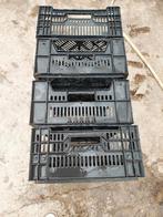 veenman kratten/ kisten  per 4, Ophalen, Gebruikt, 40 tot 60 cm, 50 tot 75 cm