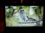 Dell Inspiron 5720, Ophalen, 2 tot 3 Ghz, 8 GB, Dell