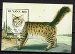guyana 1992 pf blok poezen katten cats 1, Ophalen of Verzenden, Postfris, Dier of Natuur